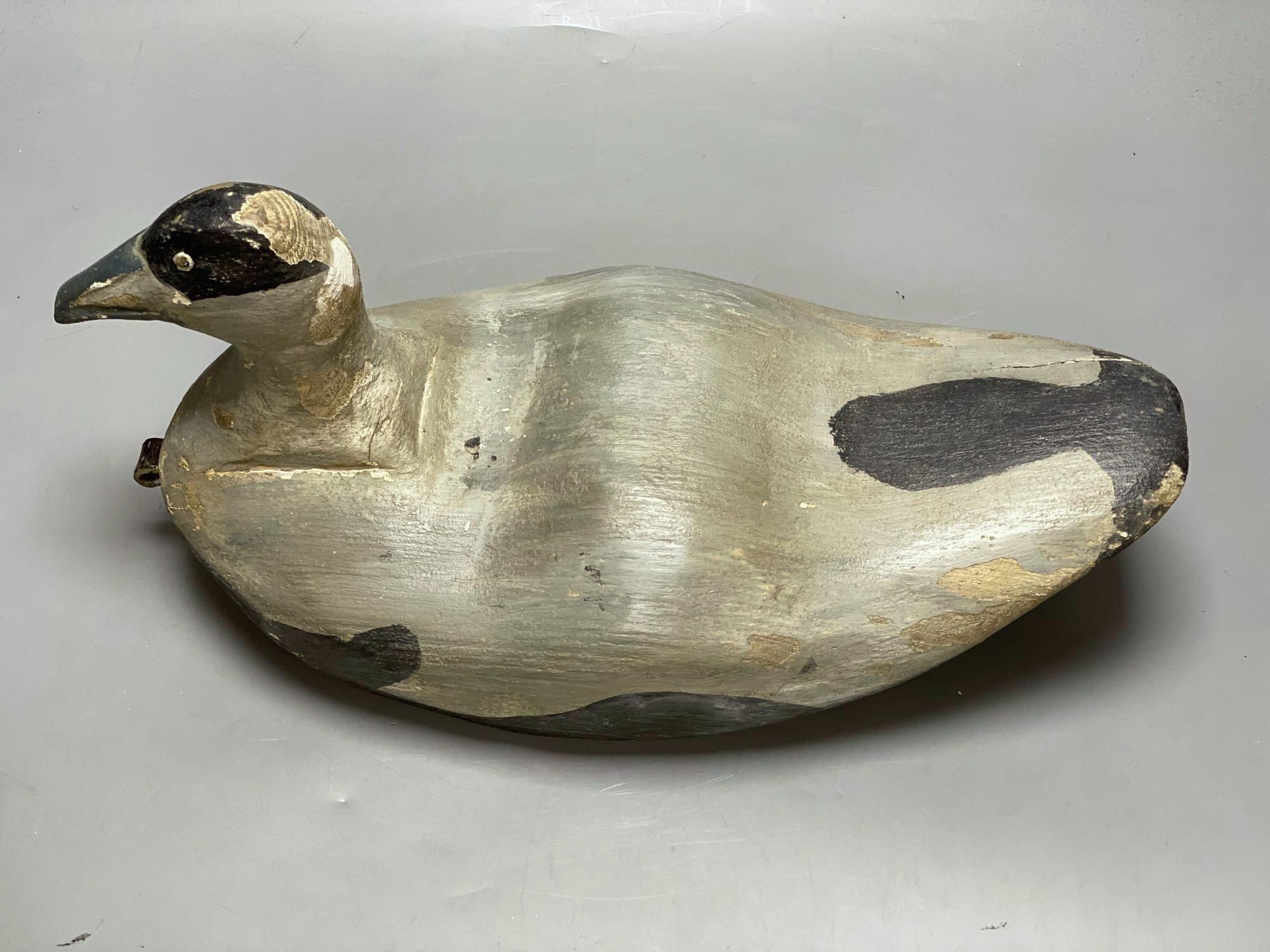 An American Eider decoy duck, length 39cm